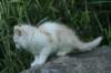 img_2434_small.jpg