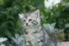img_0681_small.jpg