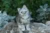 img_2293_small.jpg