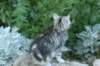 img_2300_small.jpg