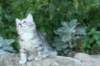 img_2311_small.jpg