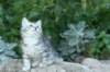 img_2312_small.jpg