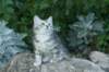 img_2315_small.jpg