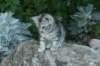 img_2316_small.jpg
