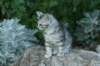 img_2317_small.jpg