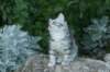 img_2320_small.jpg