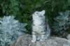 img_2321_small.jpg