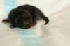 lakuboysibn2days67201310_small.jpg