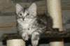 img_3642_small.jpg