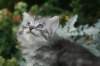 img_0510_small.jpg