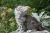 img_0515_small.jpg