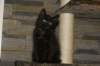img_3596_small.jpg