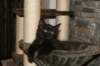 img_3599_small.jpg
