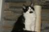 img_3604_small.jpg