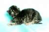 viirugirlfs23img_6704_small.jpg