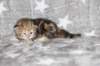 boy1ny22img_966412_small.jpg