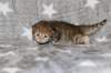 boy2img_968210_small.jpg