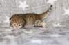 boy2img_968211_small.jpg
