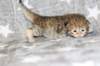boy2img_968212_small.jpg