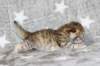 boy2img_968213_small.jpg