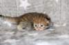 boy2img_968214_small.jpg