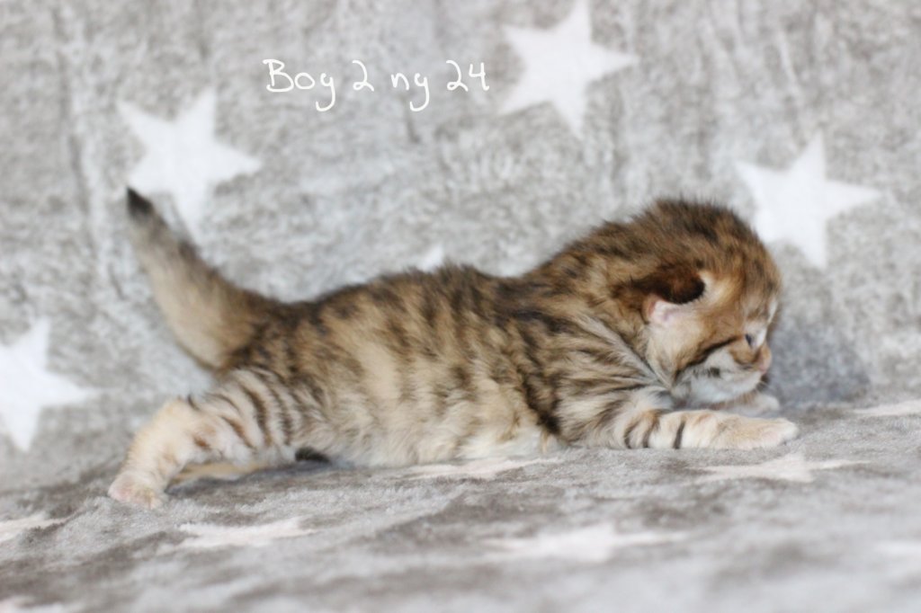 boy2img_968216.jpg