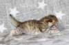 boy2img_968216_small.jpg