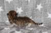boy2img_96824_small.jpg