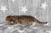 boy2img_96825_small.jpg