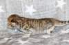 boy2img_96829_small.jpg