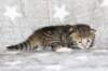girl3sibn0923img_957015_small.jpg