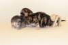 boyandgirl4_small.jpg