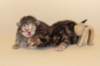 boyandgirl5_small.jpg