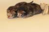 boyandgirl7_small.jpg