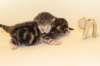 boyandgirl9_small.jpg