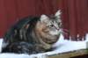img_4502_small.jpg