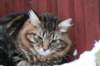 img_4555_small.jpg