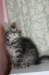 leea15_small.jpg