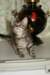 leevi16_small.jpg