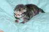 boyi2_small.jpg