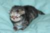 boyi4_small.jpg