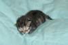 boyi5_small.jpg