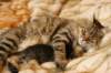 leevi10_small.jpg