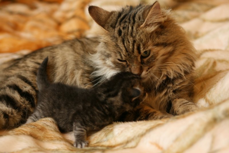 leevi6.jpg