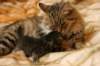 leevi6_small.jpg