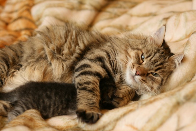 leevi9.jpg