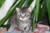leeviboy14_small.jpg