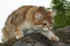 img_2550_small.jpg