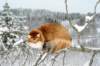 img_1917_small.jpg