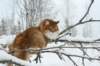 img_1932_small.jpg